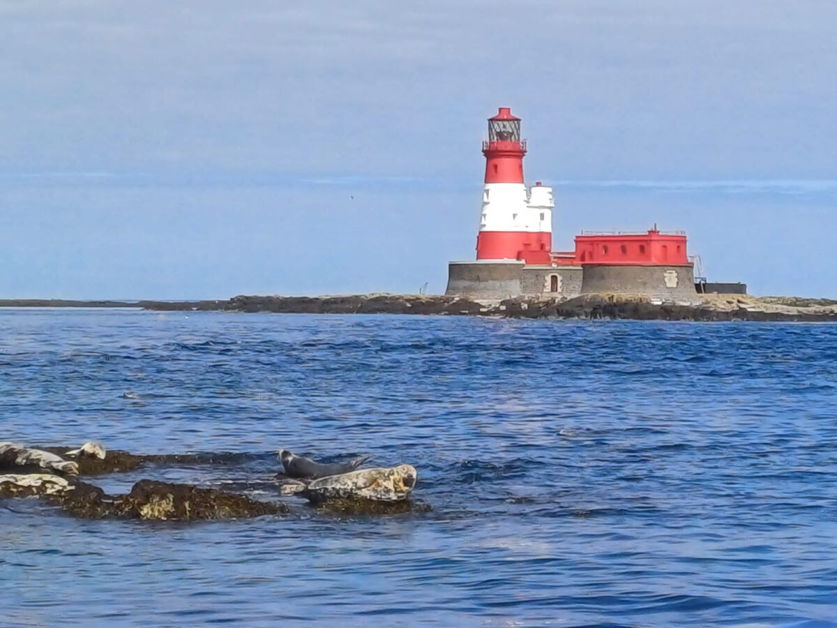 My Ocean Diver experience Chelmsford Scuba Diving Club